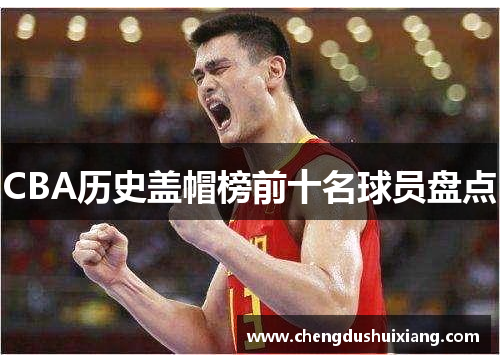 CBA历史盖帽榜前十名球员盘点